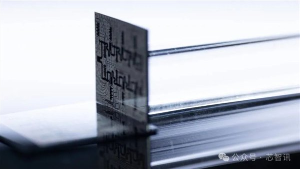 △组成 Ocelot 逻辑量子比特存储芯片的一对硅微芯片