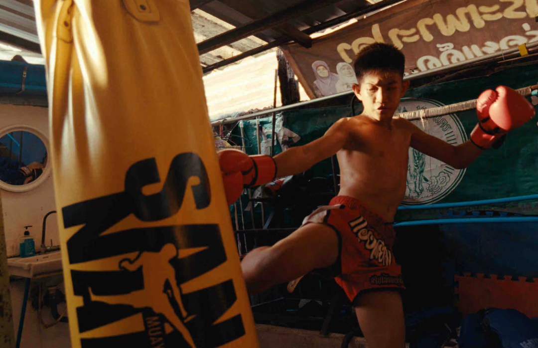 （供图者，陶宁）