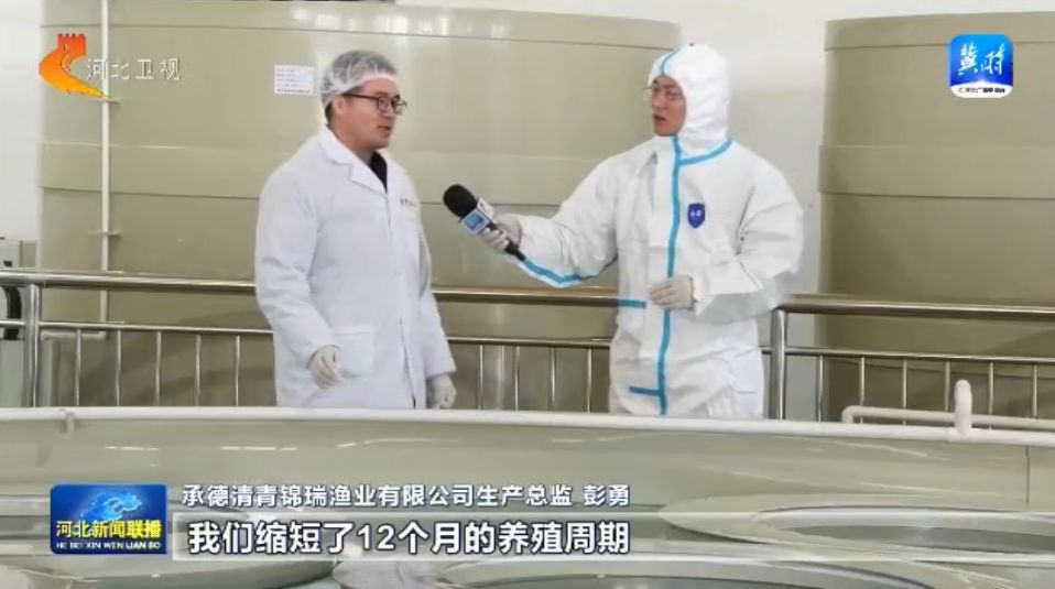 深圳锦瑞怎么样【大力优化营商环境 加快高质量发展】承德围场：来自深圳的水产大项目缘何落户内陆小城_https://www.jmylbn.com_新闻资讯_第6张