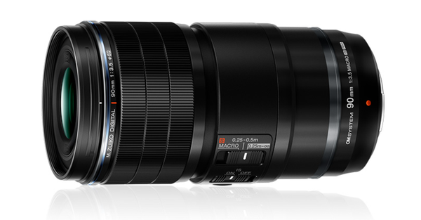 （图文无关，仅供参考）