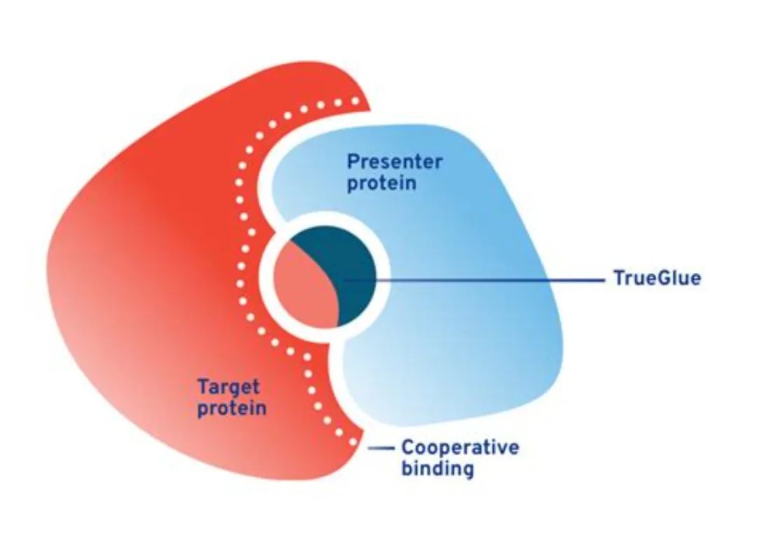图源：Magnet Biomedicine