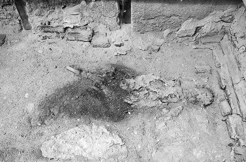 图片来源：Pier Paolo Petrone