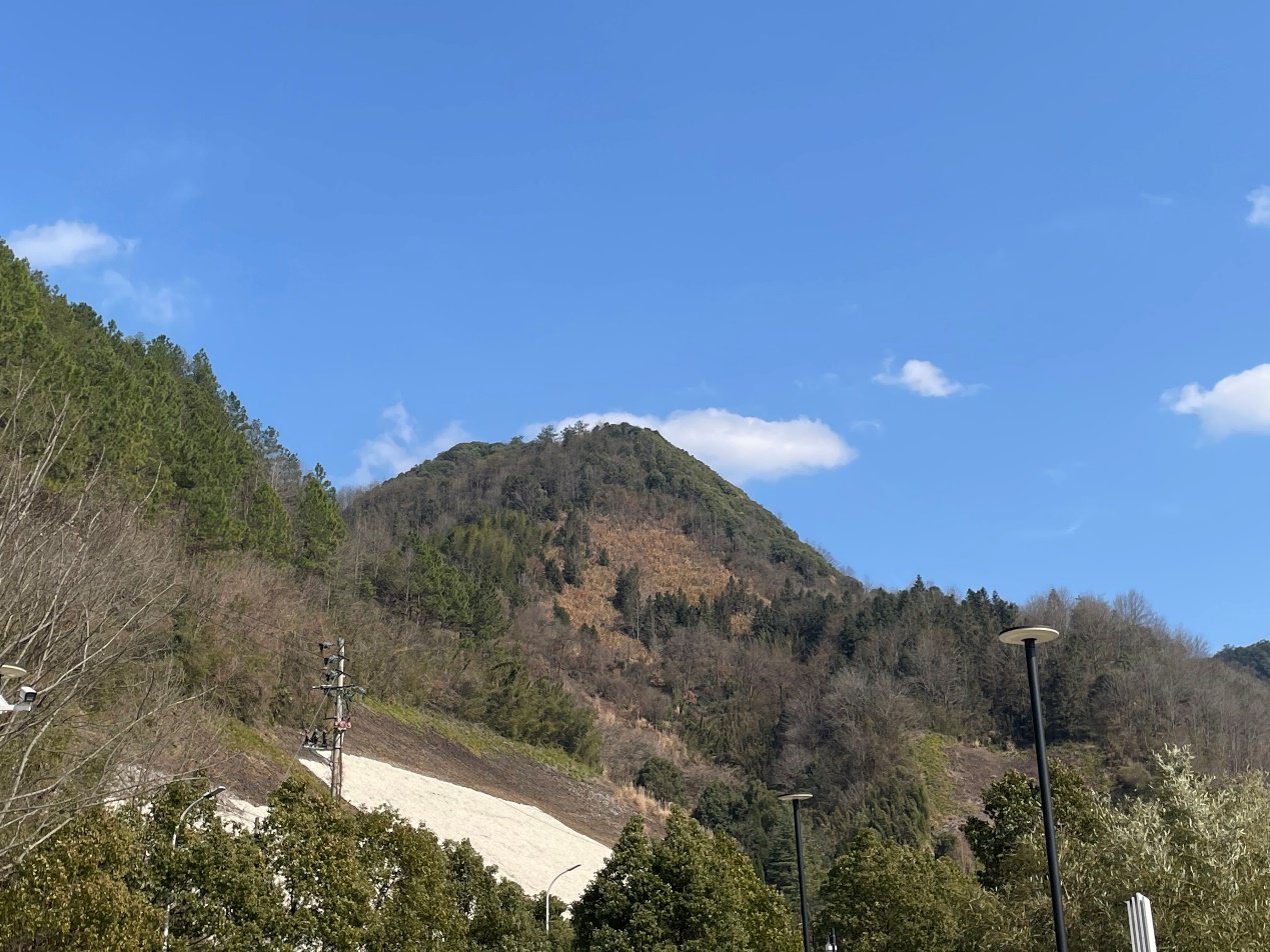 ▲在红星宣纸工厂附近的山上，正在经历“自然褪色”的皮料草料清晰可见。树森▕摄