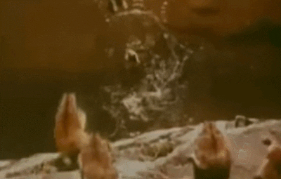   人工制造的旅鼠“跳海自杀”镜头，图源：电影《白色荒野》