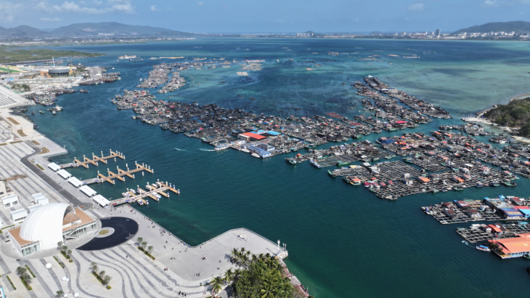 陵水疍家渔村.海南日报全媒体记者 周达延 摄