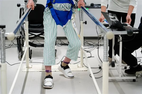 图源：复旦大学