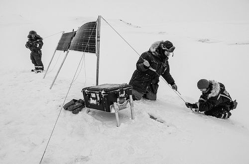 图片来源：“北极熊国际”组织