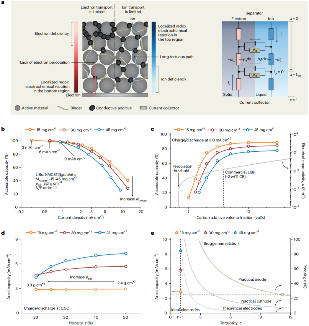 图3. 高面积容量电池电极的电化学挑战。