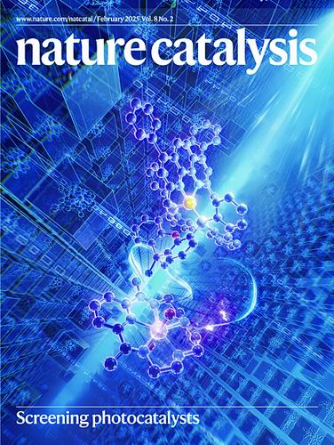 中国科学技术大学供图