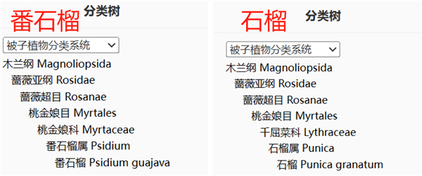 图：iPlant 植物智