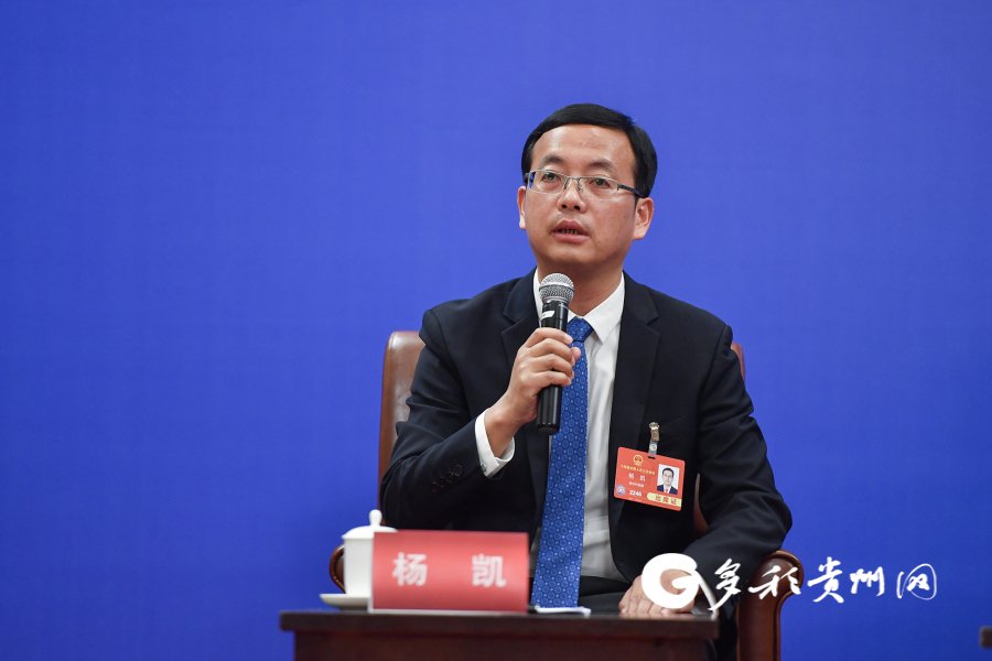 黔南布依族苗族自治州三都水族自治县县委副书记,县长杨凯