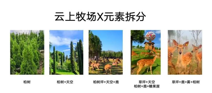 大部分景区只消靠这些元素的堆叠就能爆火。图 / 敷陈者提供