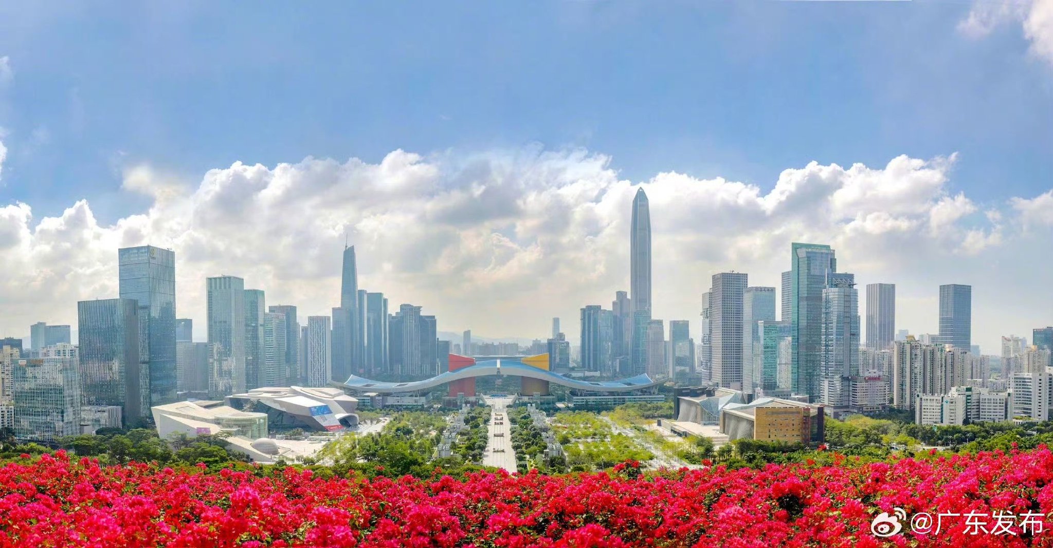 图片来源：广东发布