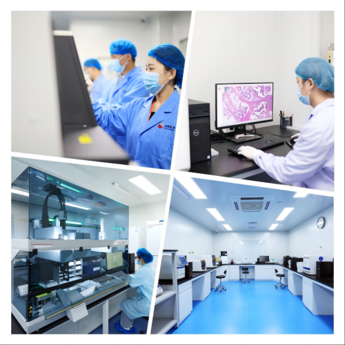 求臻医学检测实验室（图片来源：求臻医学）