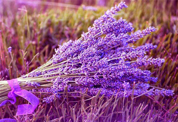 责任编辑：黑白