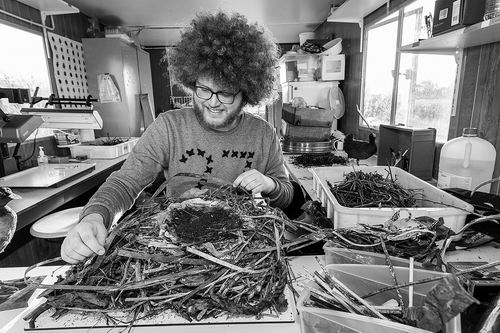 图片来源：HIELCO KUIPERS