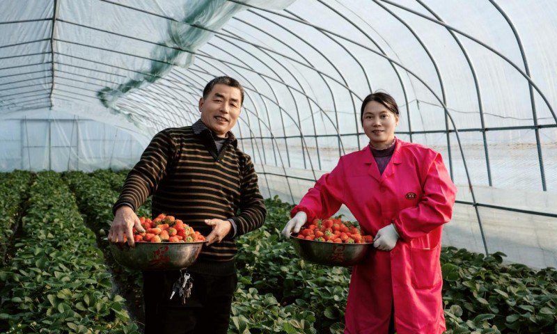 （图：杭州地利果品市场产销对接项目）