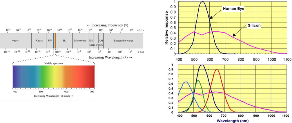 图 4. 电磁频谱--人眼与硅传感器的对比