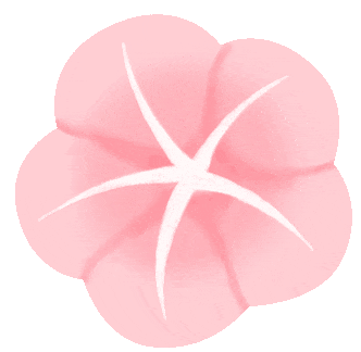 社区女性的春日雅集:一筒一花一世界