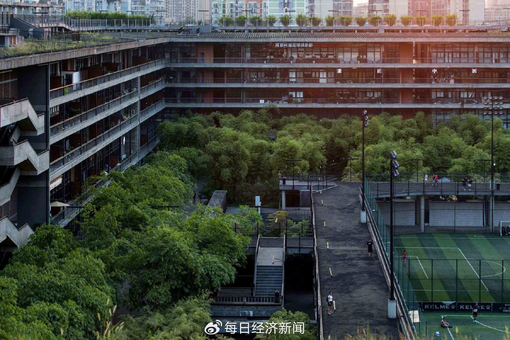 西村大院（存在建筑摄） 图片来源：受访者供图