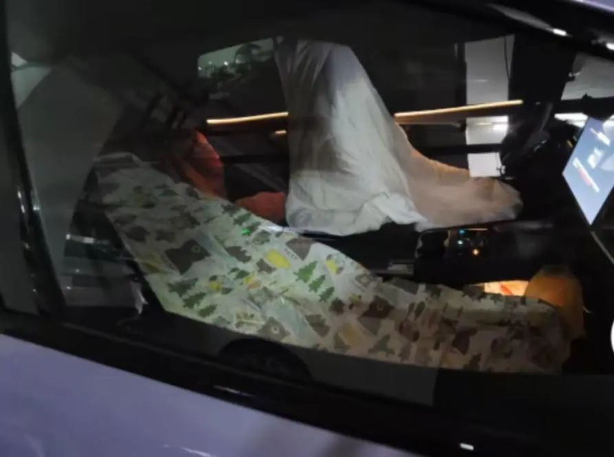 （图片来自抖音用户@南柯小小梦）