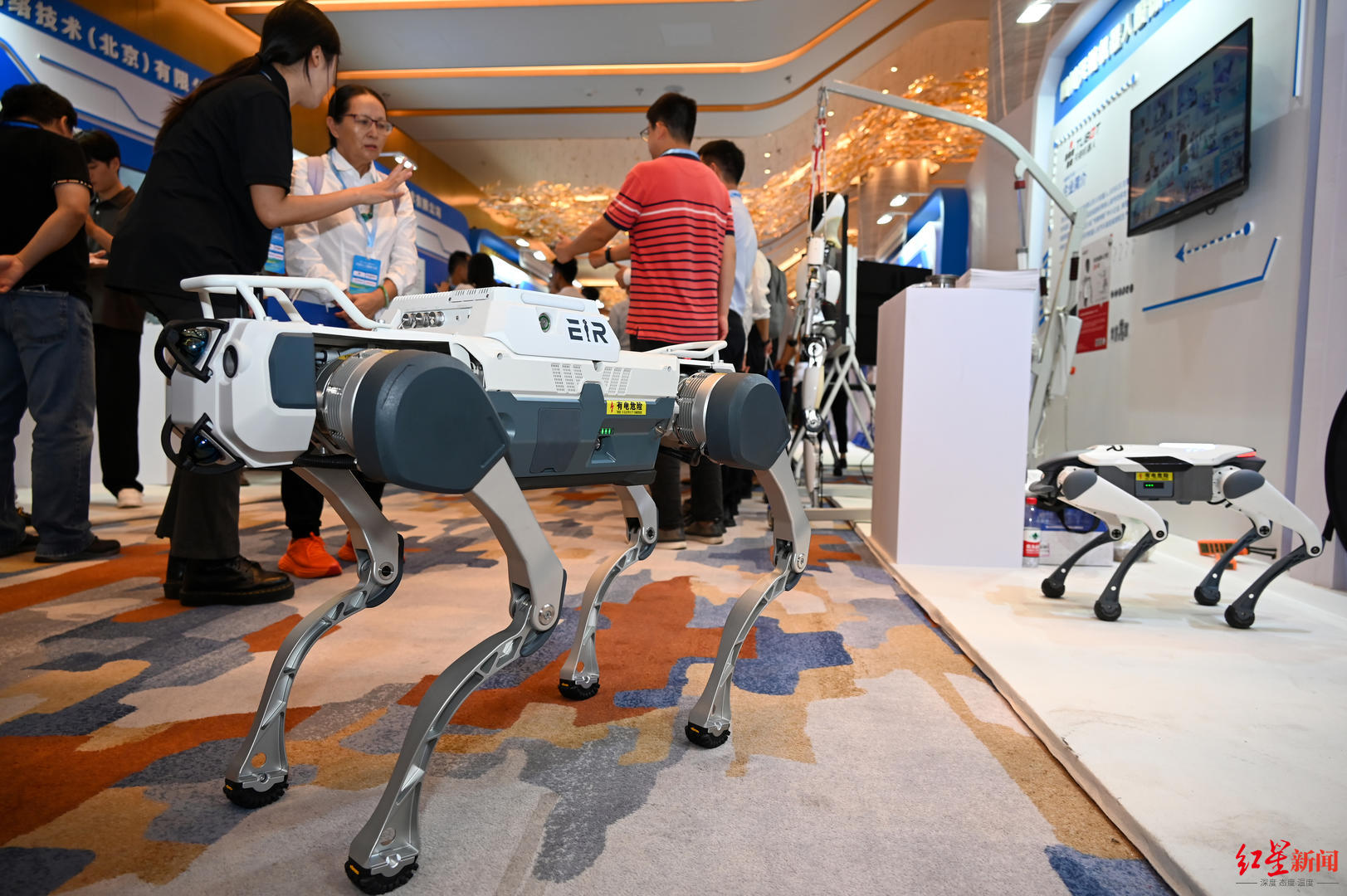 ▲2024年，天府人工智能大会上展示的机器狗