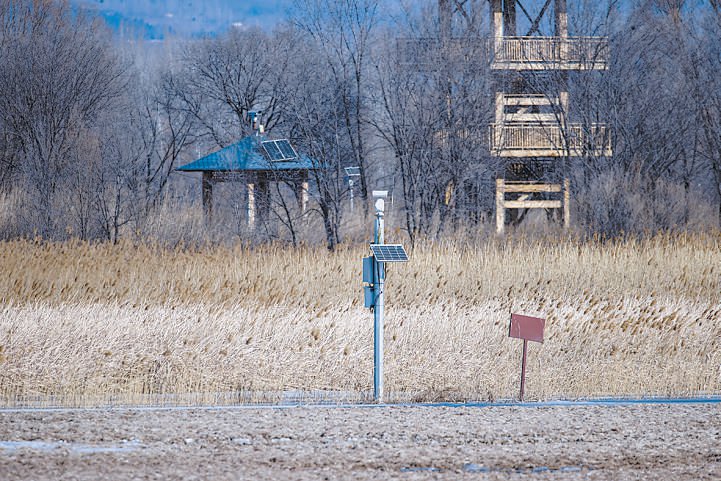 　　野鸭湖AI“鹰眼”。 李晓鹏摄