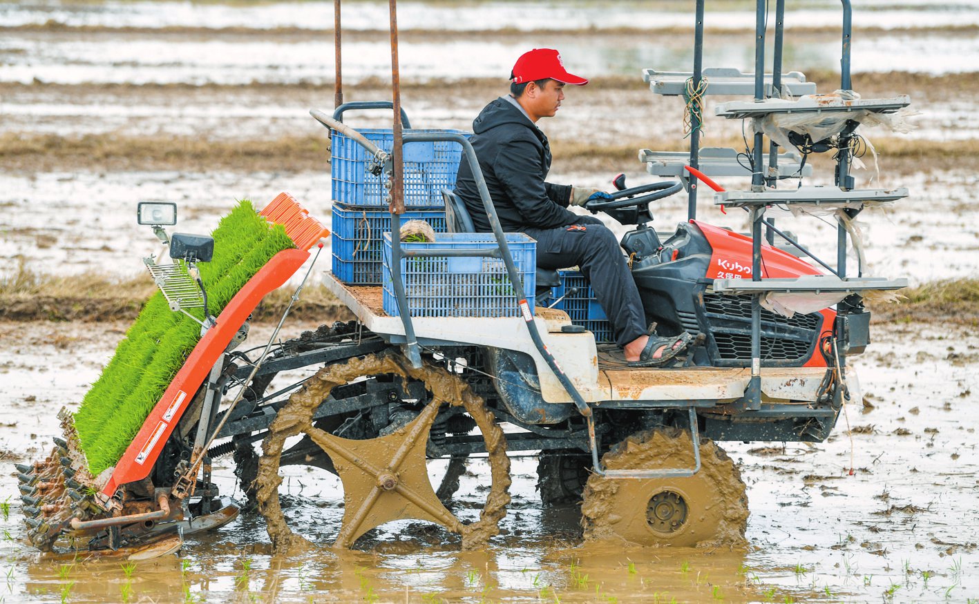 在龙华区新联村冷泉水稻田间,农户正在驾驶插秧机种植水稻秧苗