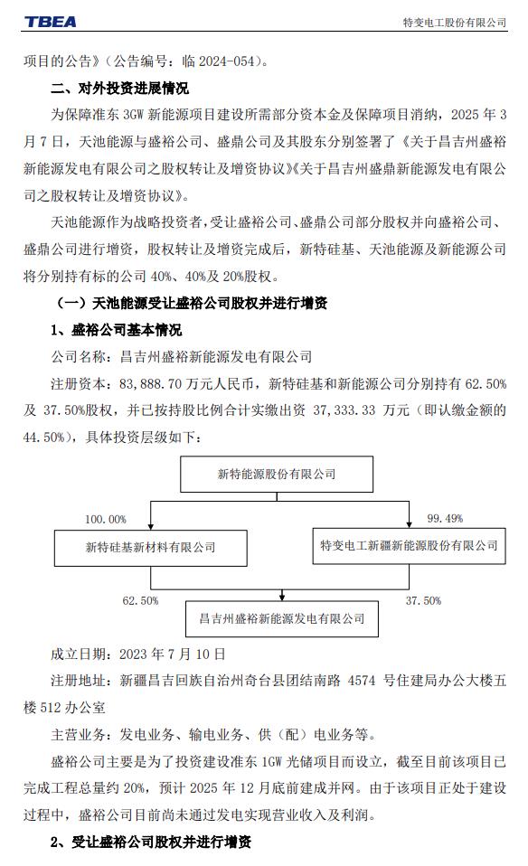 特变电工(600089)投资分析与新能源业务展望