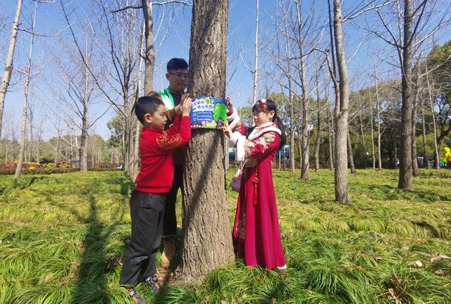 一樹(shù)難求！植樹(shù)節(jié)前上海認(rèn)養(yǎng)熱，白玉蘭、櫻花一放出來(lái)就被“秒”