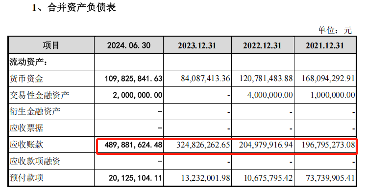 来源:招股书20241231