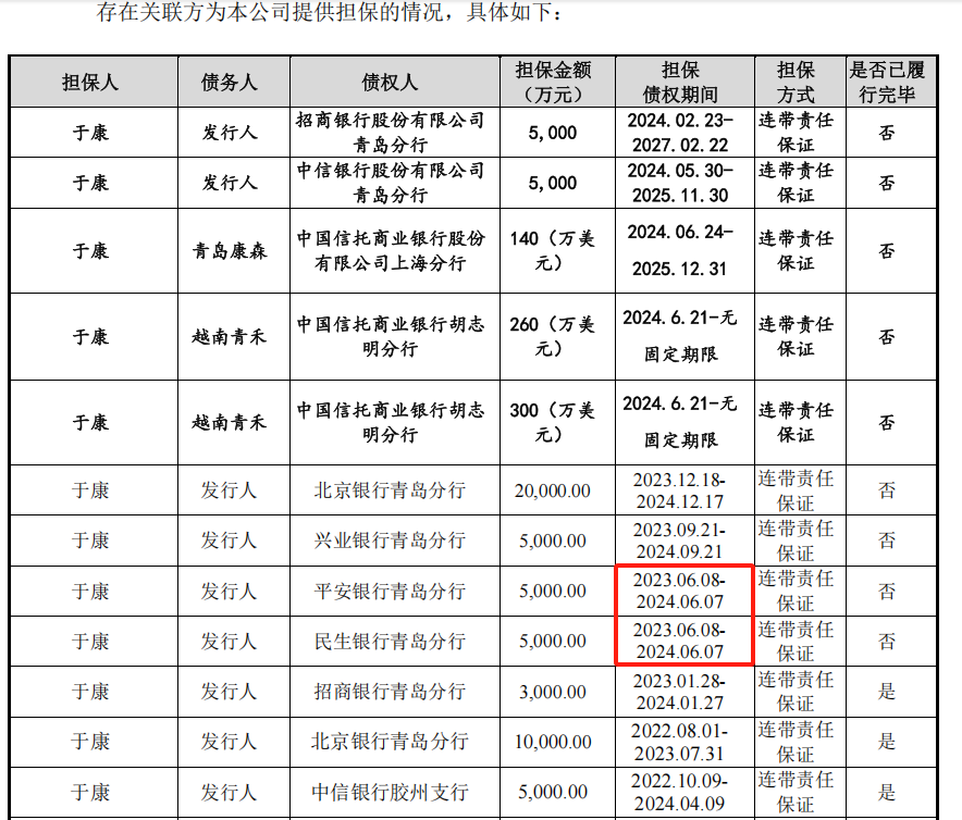 来源:招股书20241231