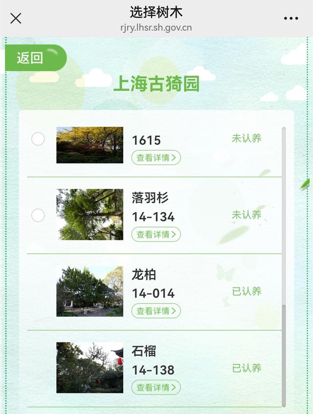 一樹(shù)難求！植樹(shù)節(jié)前上海認(rèn)養(yǎng)熱，白玉蘭、櫻花一放出來(lái)就被“秒”