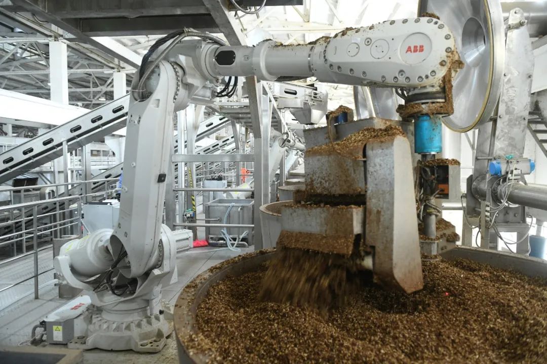 ▎位于安徽省阜阳的安徽金种子酒业智能化酿酒车间，酿酒机器人进行上甑蒸酒工序作业。摄影/好酒地理局视频中心