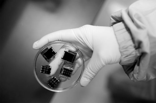 华东理工大学供图