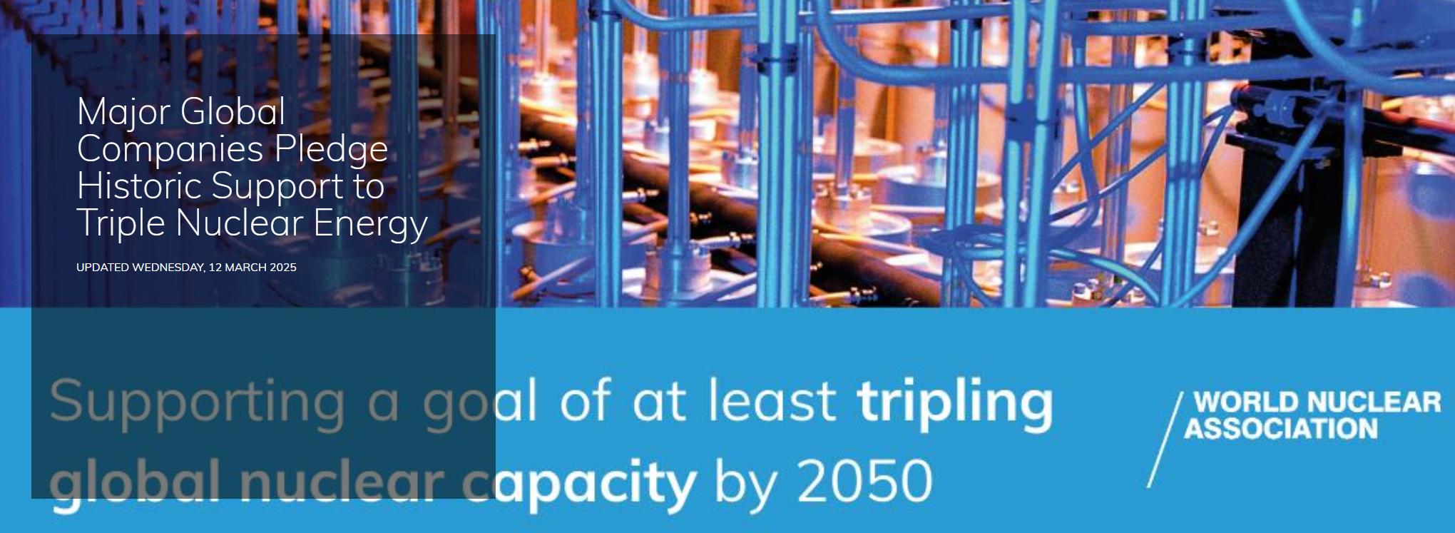（来源：世界核能协会）
