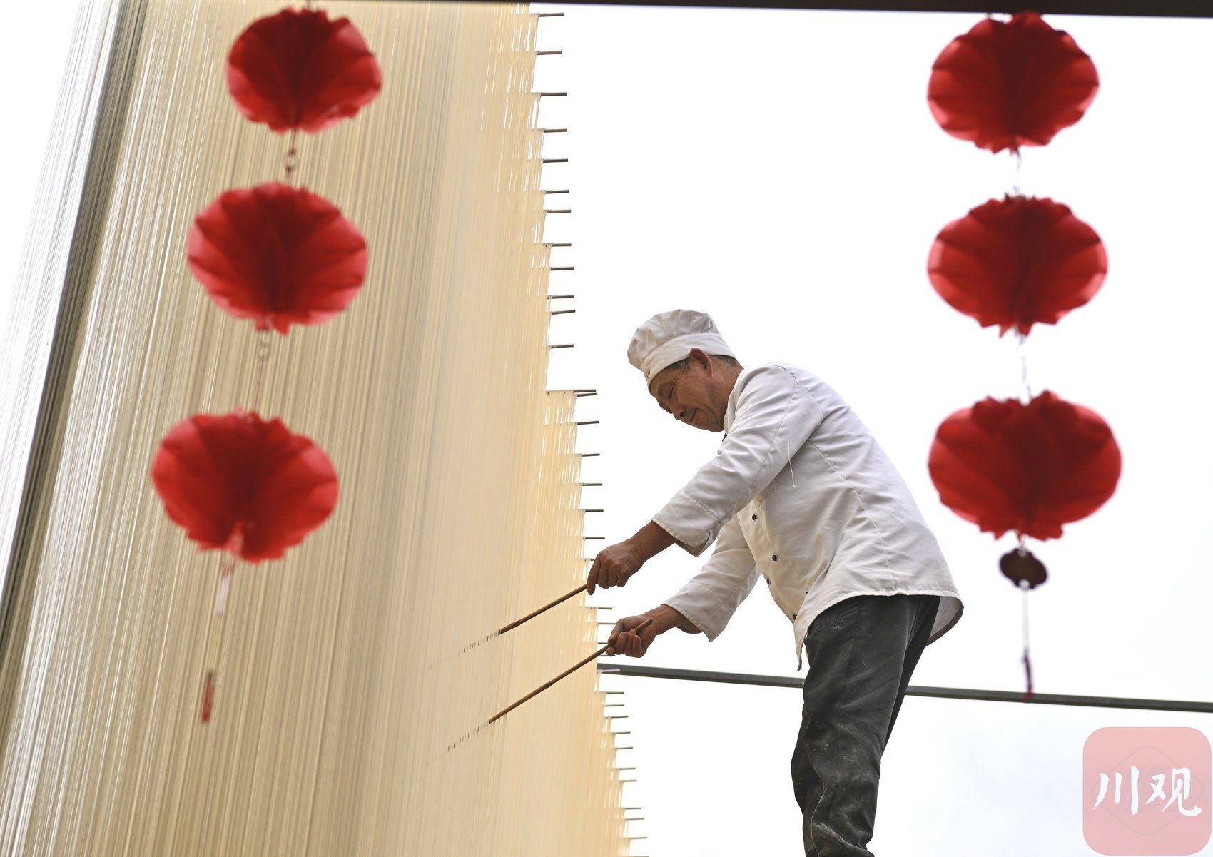 C视频丨油菜花正开 !“中国挂面村”的春天来了|中国_新浪财经_新浪网