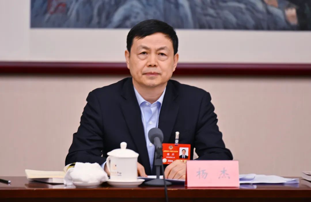 【聚焦政府工作报告】全国政协常委杨杰:培育壮大信息消费"新三样"