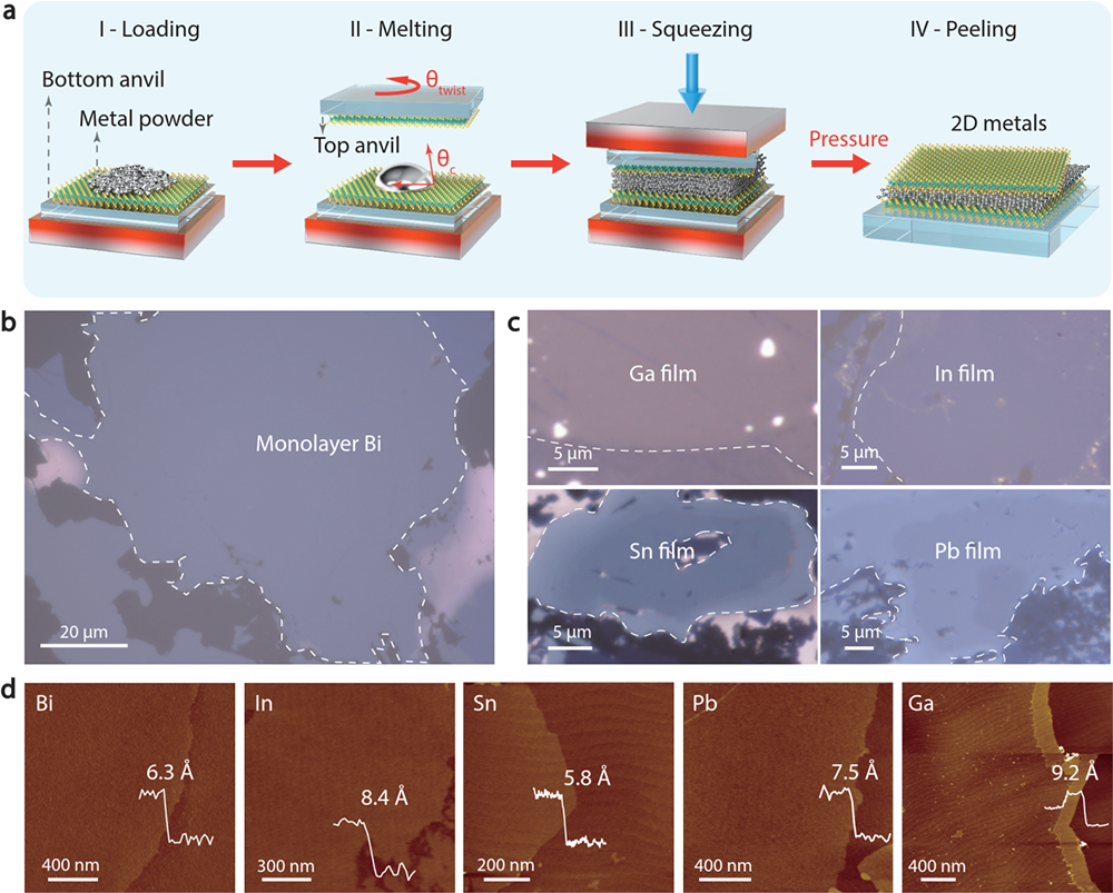 ▲ 图源中国科学院物理研究所：范德华挤压技术普适制备埃米极限厚度二维金属