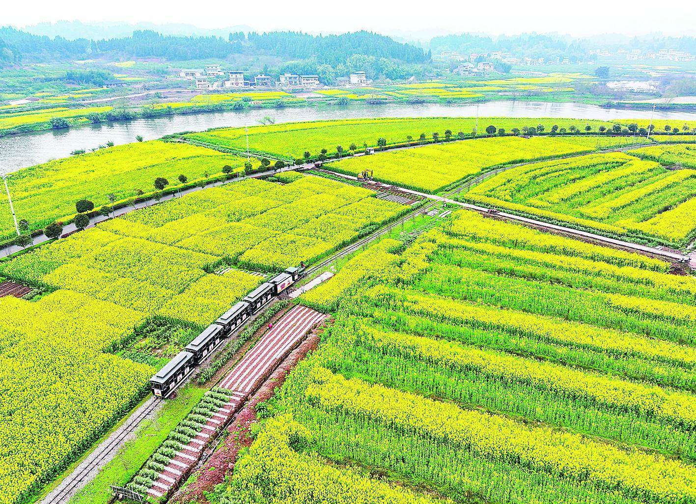 绝美油菜花 打卡地图来啦
