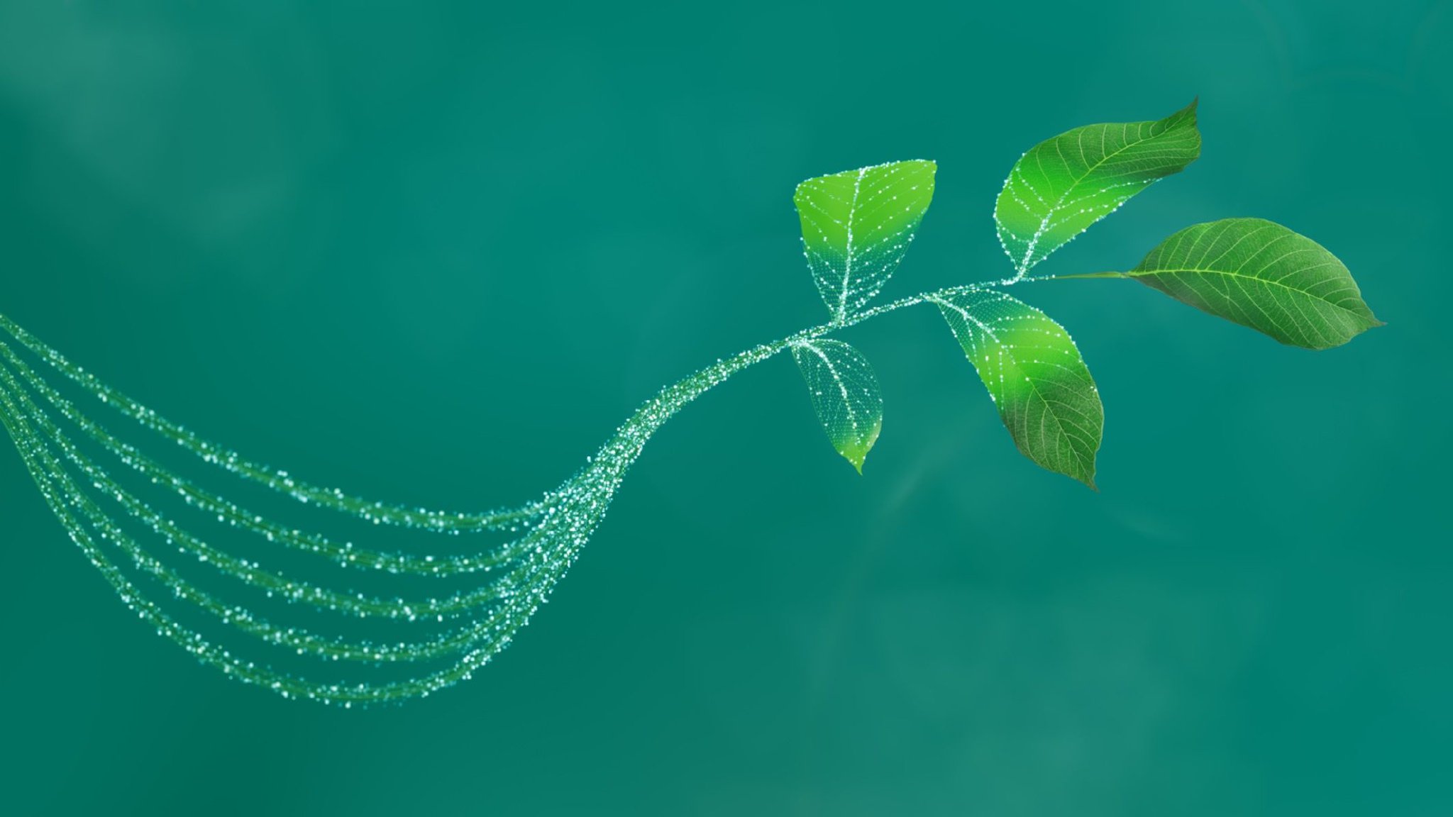 英飞凌_Embedded World 2025