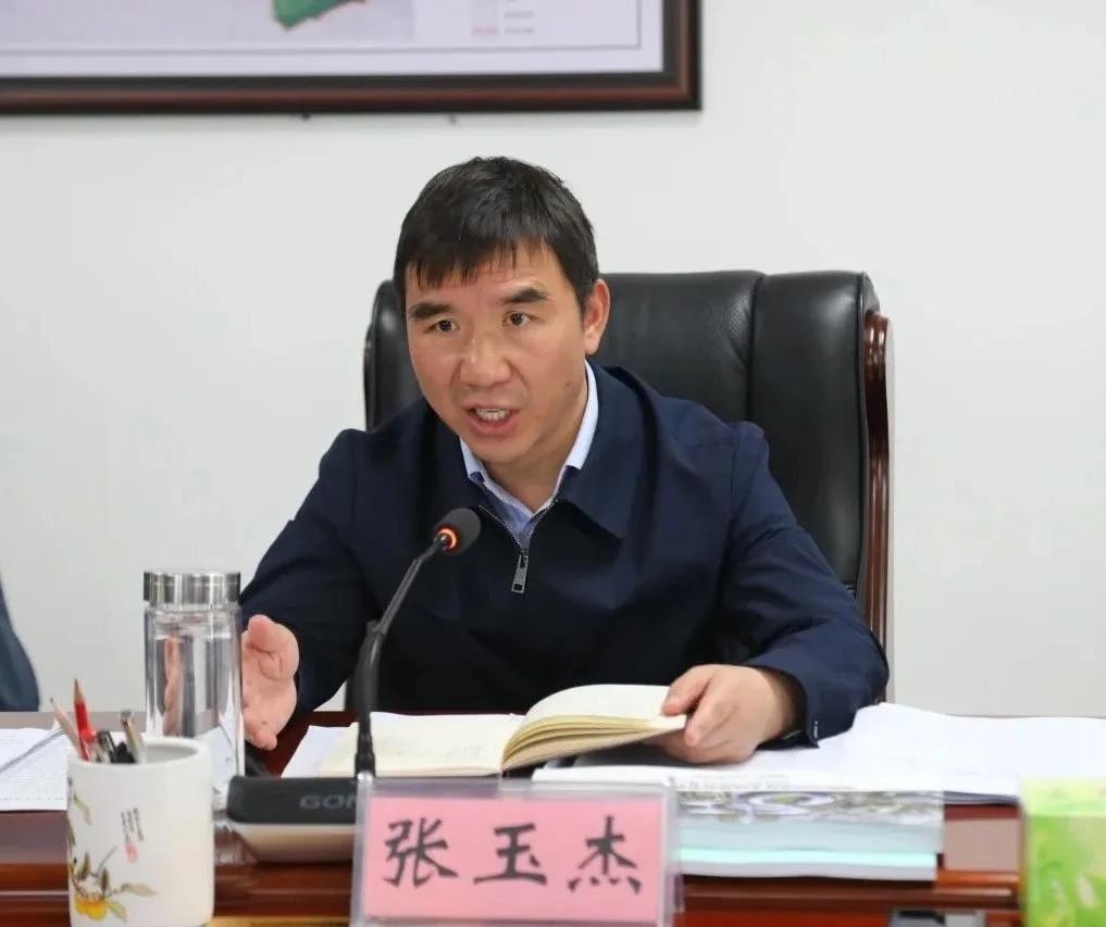 张玉杰,拟升任市长