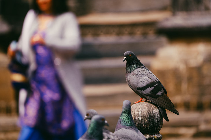 LUMIX S5M2拍摄，F5.6，1/2500S，ISO 800