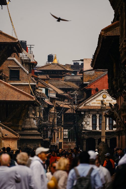 LUMIX S5M2拍摄，F5.6，1/640S，ISO 100