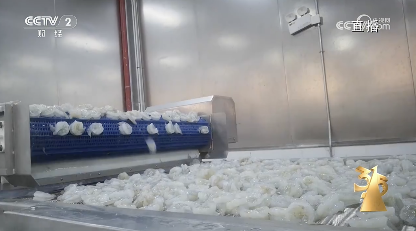 ▲ IT之家注：图源央视新闻