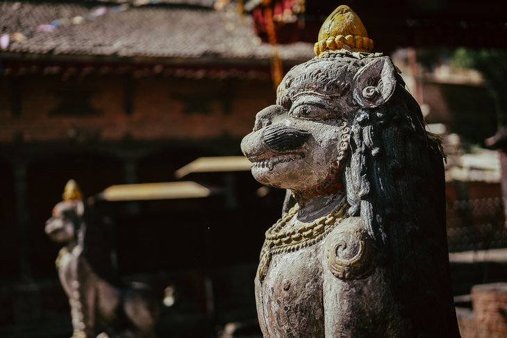 LUMIX S5M2拍摄，光圈：F1.8，快门：1/1600s，感光度ISO 100