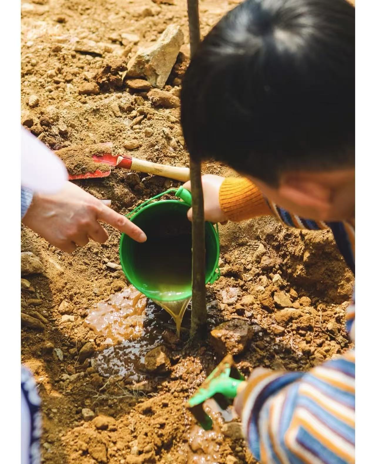 春风拂绿意 劳动育新人