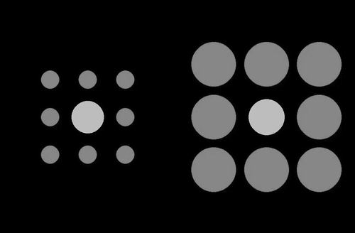 图片来源：Radoslaw Wincza等