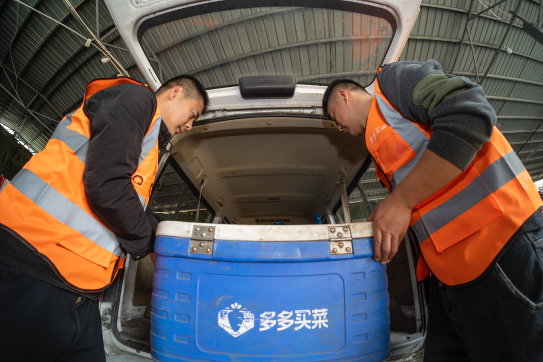 陈建良协助站点司机装载当日货品。摄/苏巧将