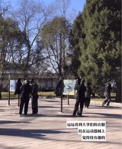 图/小红书用户@喜荣正放肆